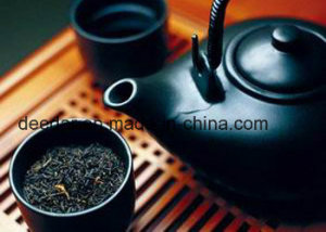 Golden Fungus Dark Tea